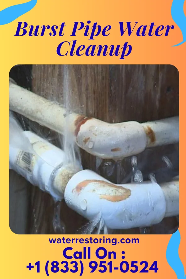 Burst Pipe Water Cleanup in Mattawan, MI