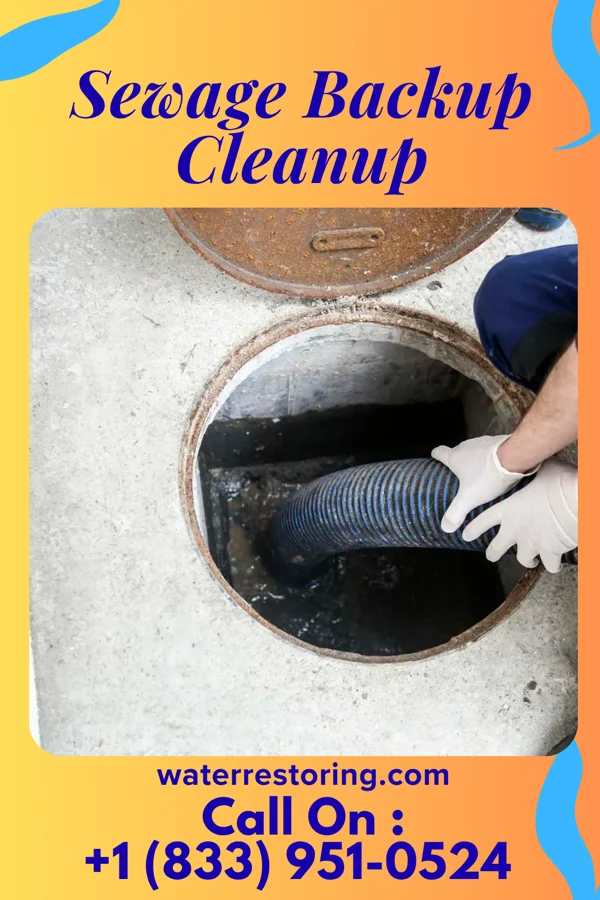 Sewage Backup Cleanup in Mattawan, MI