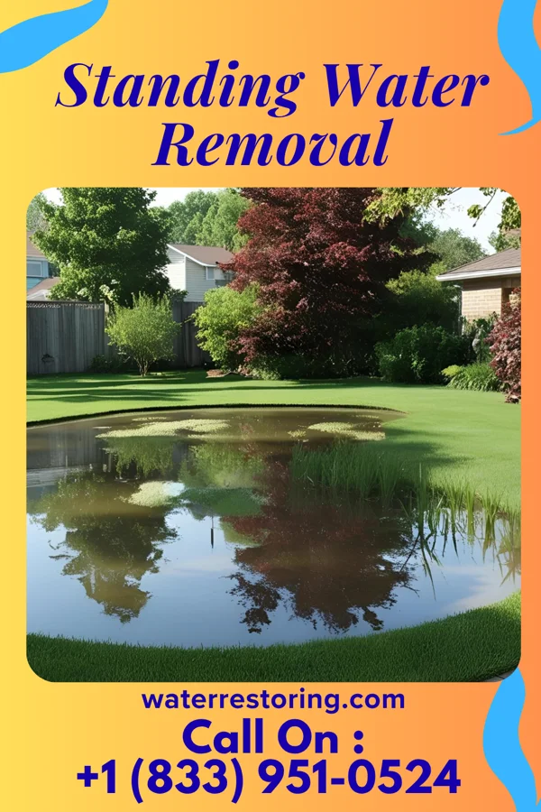 Standing Water Removal in Mattawan, MI